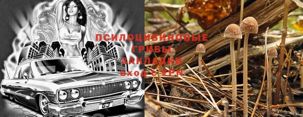 PSILOCYBIN Алзамай