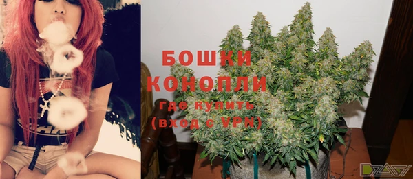 дурь Алексеевка