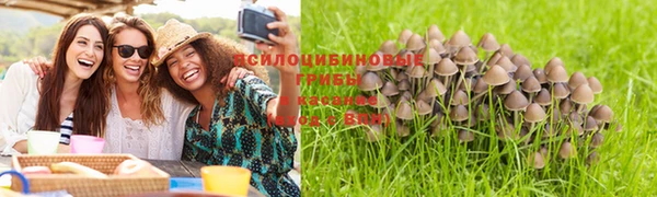 дурь Алексеевка