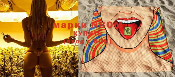 PSILOCYBIN Алзамай